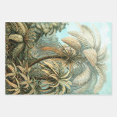 Filicinae by Ernst Haeckel, Fern Plants ラッピングペーパーシート (正面)