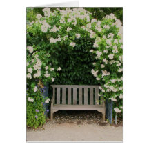 Filoliはカード庭いじりをします