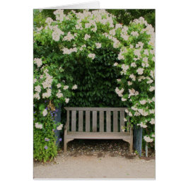 Filoliはカード庭いじりをします