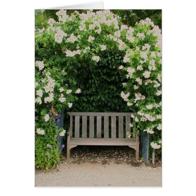 Filoliはカード庭いじりをします (正面)