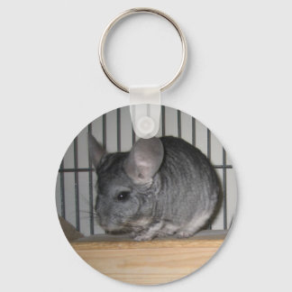 Finally Home Chinchillas:チェエコ キーホルダー