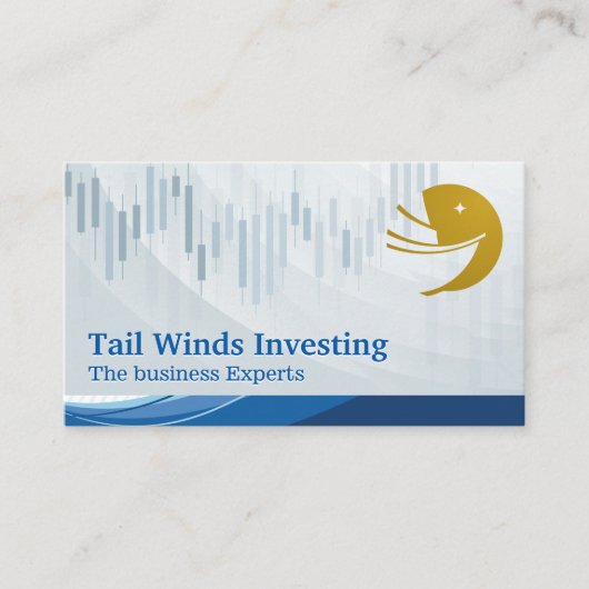 Financial Chart | Sail Ship Logo 名刺 (正面)