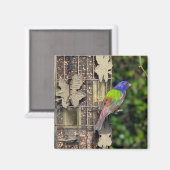 finch-1-2月5-06 マグネット (正面/裏面)