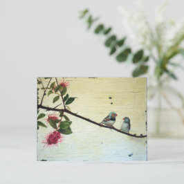 Finch Conversation Postcard ポストカード