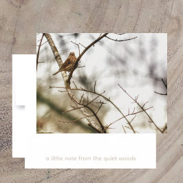 Finch in Winter Branches Nature Photography ノートカード