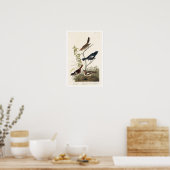 Finch, Sparrow by Audubon Poster ポスター (キッチン)