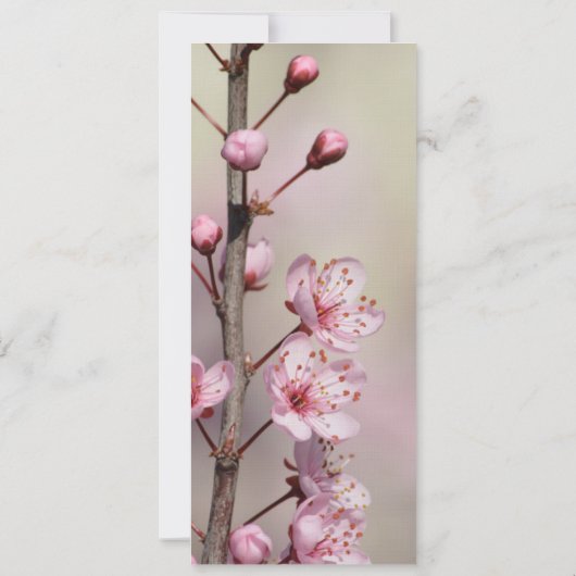 Find JoyさくらんぼBlossom Bookmark (裏面)