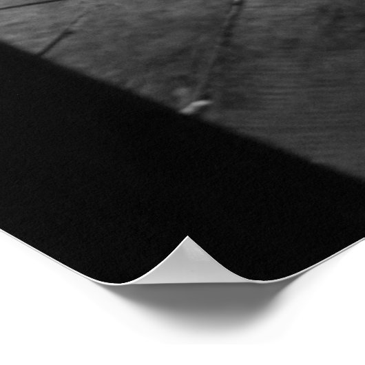 Find the Cat! ポスター (角)