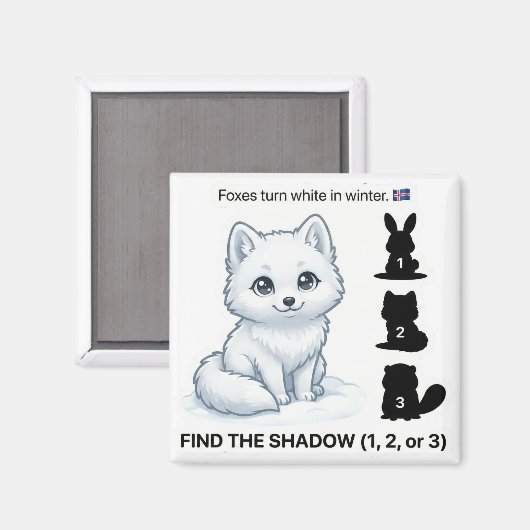 Find the Shadow – Arctic Fox Learning Magnet マグネット (正面/裏面)