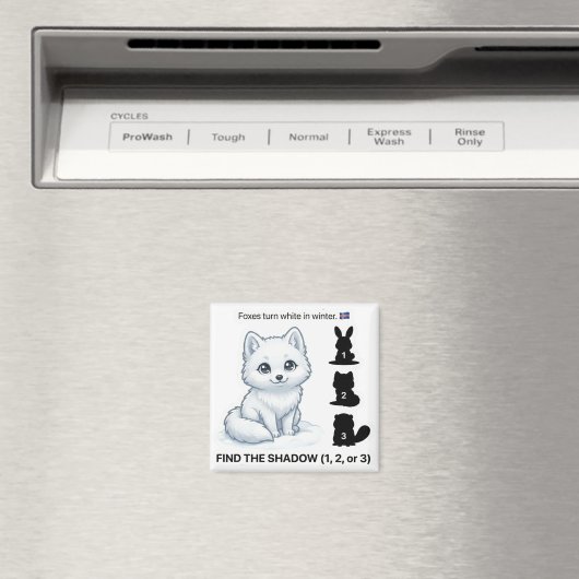 Find the Shadow – Arctic Fox Learning Magnet マグネット (インサイチュ (食洗機))