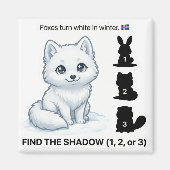 Find the Shadow – Arctic Fox Learning Magnet マグネット (正面)