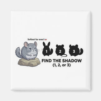 Find the Shadow Chinchilla Animal World Quest for  マグネット