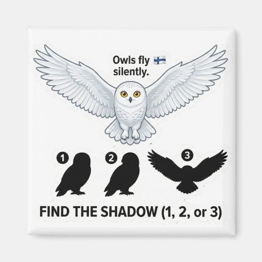 Find the Shadow – Snowy Owl Learning Magnet マグネット (正面)