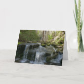 Findlay秋I カード (正面)