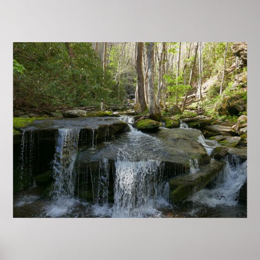 Findlay秋I ポスター (正面)