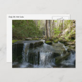 Findlay秋I ポストカード (正面/裏面)