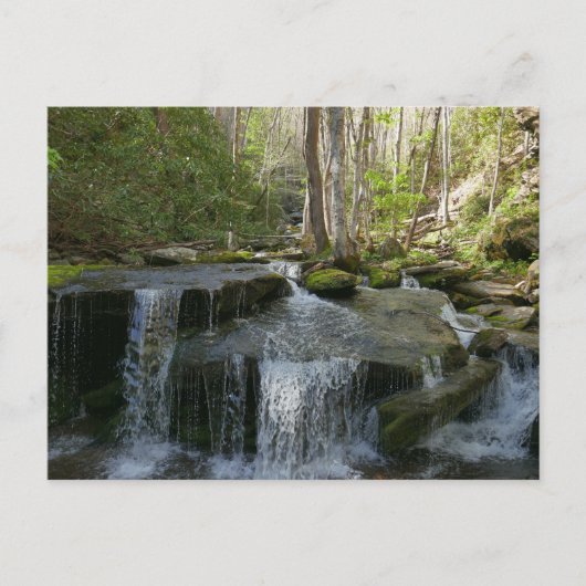 Findlay秋I ポストカード (正面)