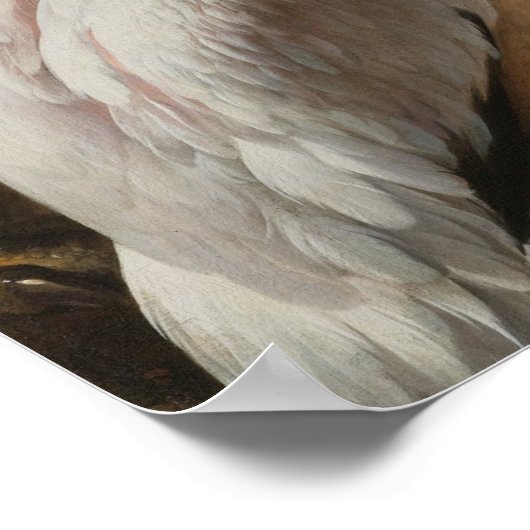 Fine art birds ポスター (角)