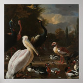 Fine art birds ポスター (正面)