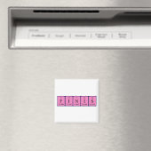Finis周期表名磁石 マグネット (インサイチュ (食洗機))
