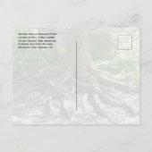 Finnegan's Point, Chilkoot Trail, 金ゴールドラッシュNHP ポストカード (裏面)