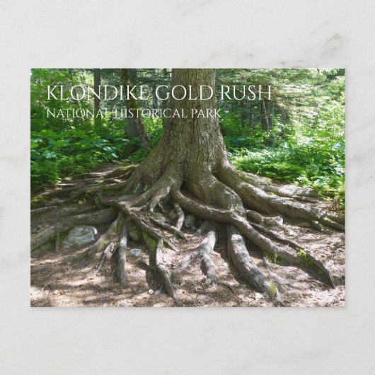Finnegan's Point, Chilkoot Trail, 金ゴールドラッシュNHP ポストカード (正面)