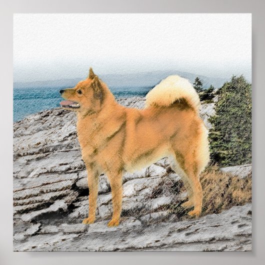 Finnish Spitz at Seashore Painting - Dog Art ポスター (正面)