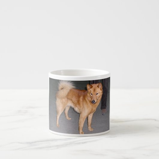 Finnish_Spitz full.jpg エスプレッソカップ (正面)