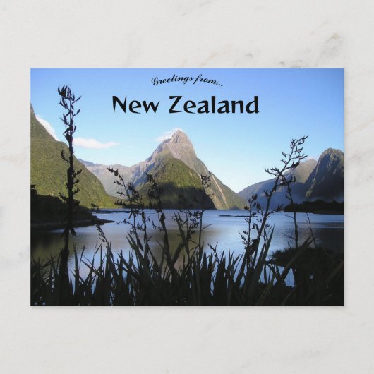 Fiordland New Zealand ポストカード (正面)