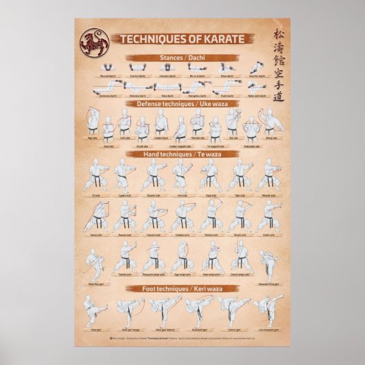 Fiore Tartagliaによる空手の技術 ポスター (正面)