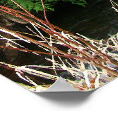 Fir Trees & Stream Bridge Ephesians 2:8,9プリント ポスター (角)