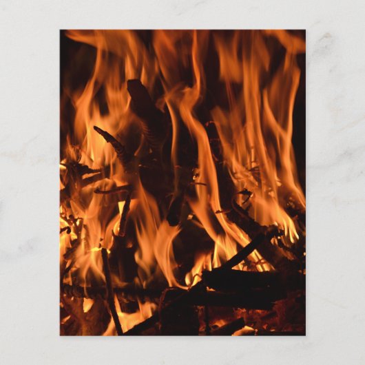 fire-432478薪の森の自然オレンジ色の黒b チラシ (正面)