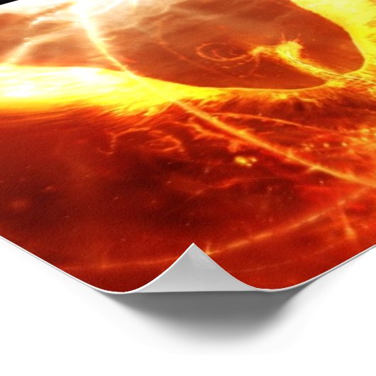 Fire bird ポスター (角)