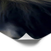 Fire Eyes of the Jungle King ポスター (コーナー)