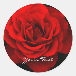 Fire Red Rose Round Stickers （シート20） ラウンドシール