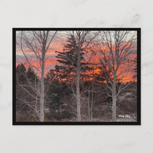 Fire Sky Through Winter Trees ポストカード (正面)
