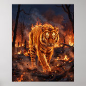 Fire Tiger Burning Wilderness ポスター (正面)