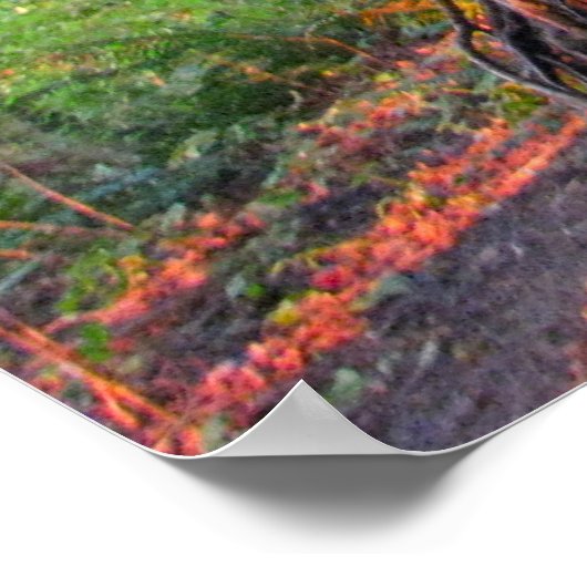 Fire Trees ポスター (角)