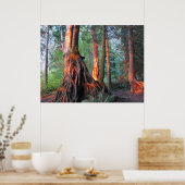 Fire Trees ポスター (キッチン)