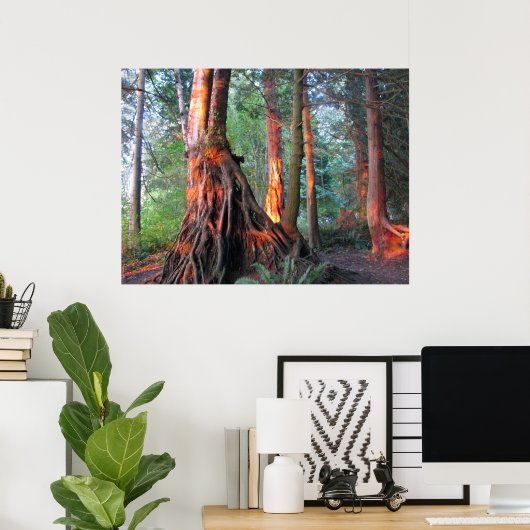 Fire Trees ポスター (ホームオフィス)