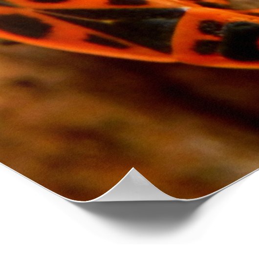 Firebugsポスター ポスター (角)