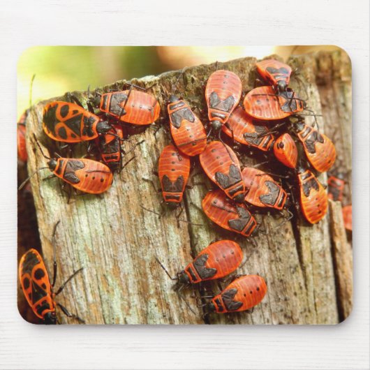 Firebugsマウスマット マウスパッド (正面)