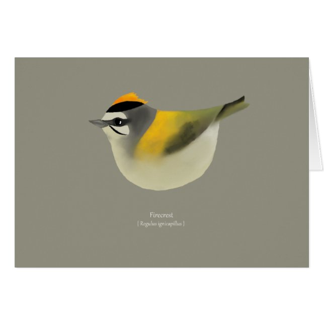 Firecrest (正面横)