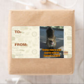 Firefoxが拒否 ラベル (インサイチュ)