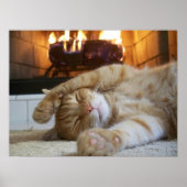 Fireplace Cat ポスター (正面)