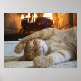 Fireplace Cat ポスター