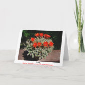 Fireryのサボテンの開花 カード (裏面)