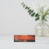 Fireryシカゴの日没 スキニー名刺 (スタンド正面)