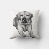 Fireside Portrait in Shadow クッション (裏面)