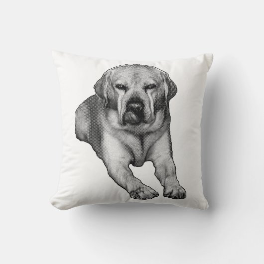 Fireside Tale in Ink クッション (正面)